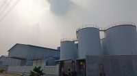 IMG-20260813-WA0000